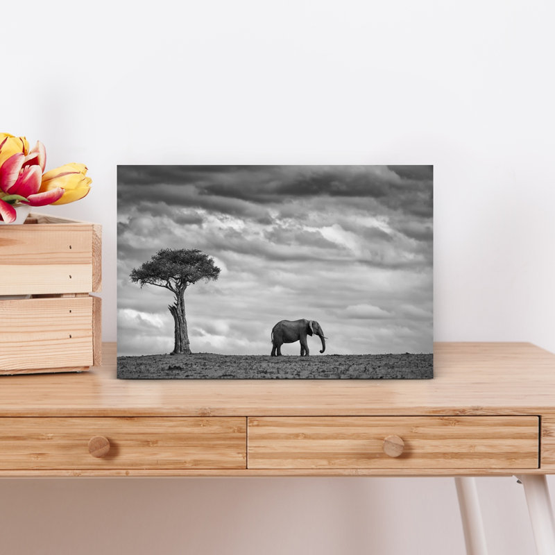 Éléphant d'Afrique, solitude dramatique, paisible, serein, éléphant, paysage, nature, art mural, H 12 po x l 18 po