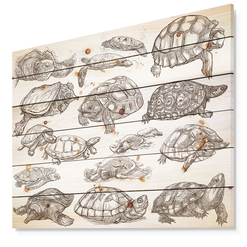 Tortues - impression d'art graphique, Bois, H 15 po x l 20 po x P 1 po