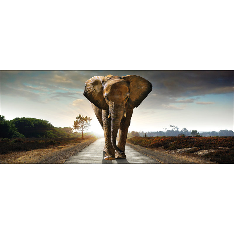 No Frame Print on Glass, 50 cm H x 125 cm W x 1.4cm D