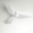 Franny Ceiling Fan with LED Lights-2008673707-1891806493