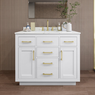 Beckett TK 42'' W Vanity