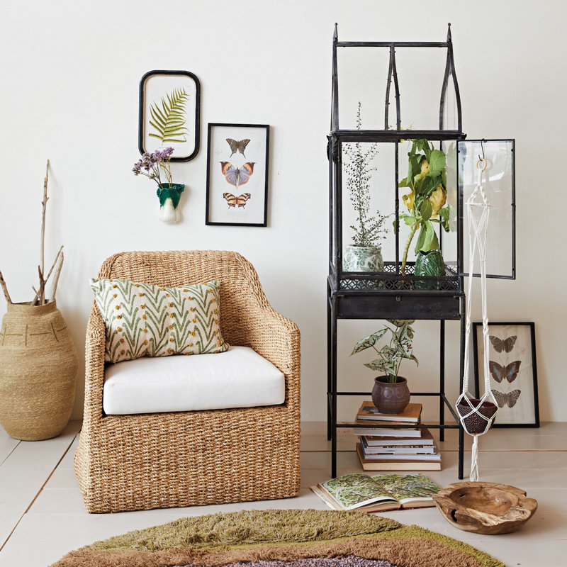 Vitrine en métal et acrylique Botanist et terrarium avec pieds pour le rangement, noir