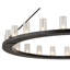 24 - Light Chandelier