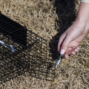 Weather Resistant Chipmunk Cage