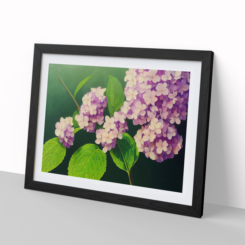 Gorgeous Hydrangea Flowers - Single Picture Frame Print, Black Framed, 25cm H x 34cm W x 2cm D