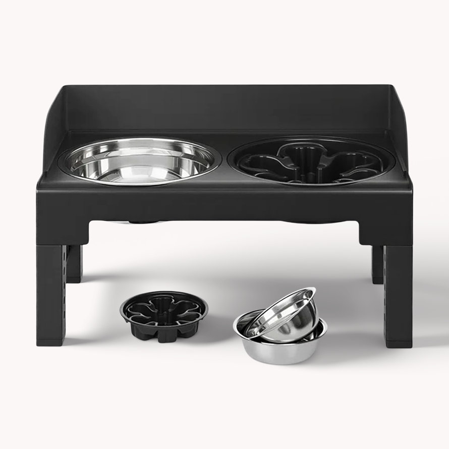 dog bowl