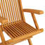 Ardello Folding Patio Dining Armchair with Cushion