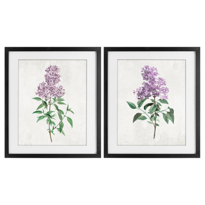 Herbaceous Lilac Blooms 2pc Framed Print Under Glass Set, design by Kim Allen
