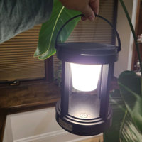 RIDALUX 7.08'' Battery Powered Integrated LED Color Changing Outdoor Lantern  & Reviews