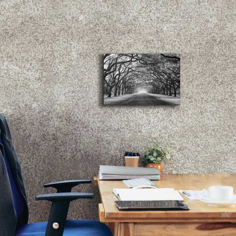 Wormsloe inf Light - Impression sur toile tendue, H 12 po x l 18 po x P 0,75 po