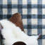 Rouleau de papier peint adhésif l 16,5 pi x l 20,5 po buffalo Emerson-1236710400