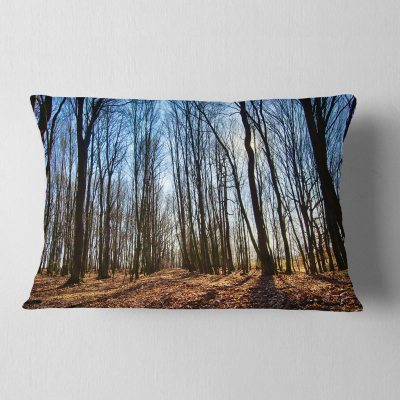 Dark Trees in Forest at Sunrise - Forest Printed Throw Pillow
