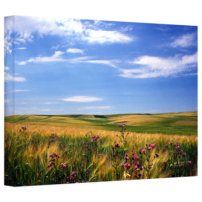 " Field Of Dreams " by Kathy Yates