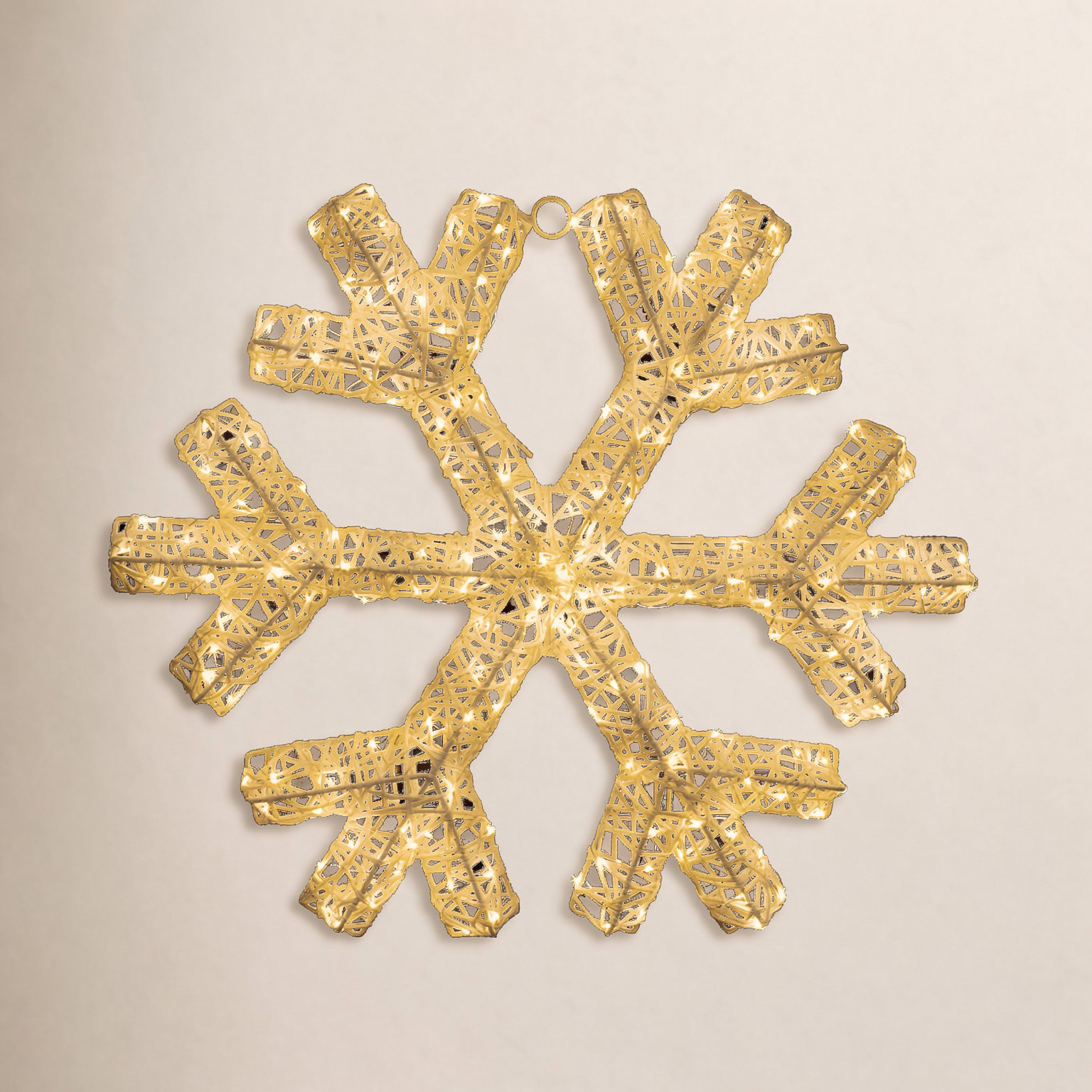 24" LED Snowflake Light