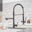 FLG Kitchen Faucet-86175978