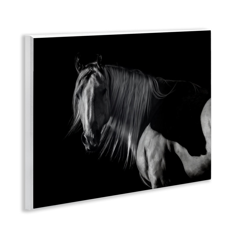 «Stoic Horse in Dark Lighting», art par PHBurchett