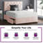 Eberhardt Divan Bed Base-95753166-95755194-95755193