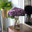 Hydrangea Stem-1158631078