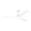 Rozzen Downrod Ceiling Fan