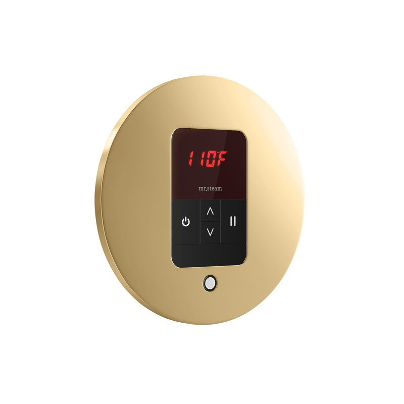 Steam Generator Control, Brown
