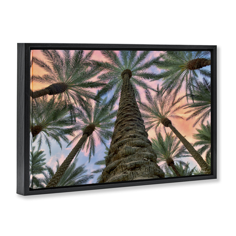 «Tall Overhead Palms», toile flottante encadrée par Dennis Frates, Cadre flottant noir de jais, H 17 po x l 25 po