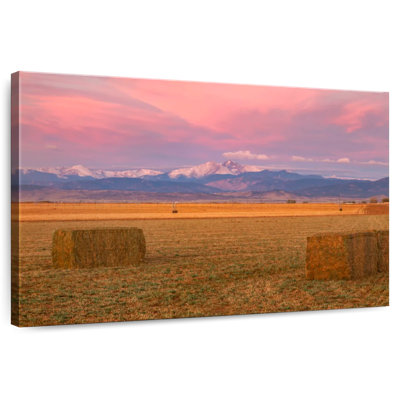 Alvord Longs Peak Harvest