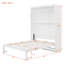 Lit escamotable double pleine grandeur avec tablettes-1285871766