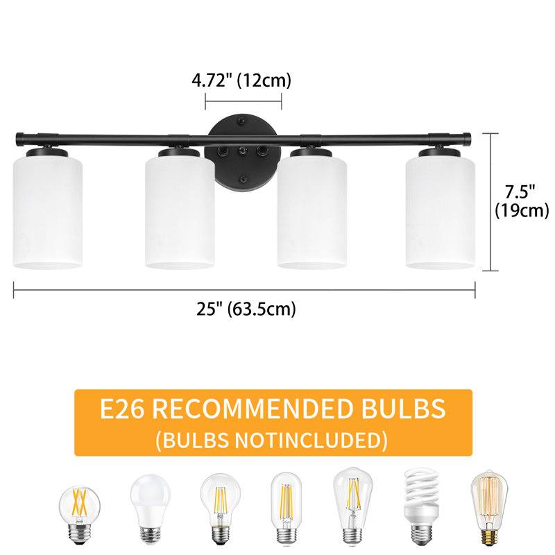 Borasisi Dimmable Vanity Light, 4 Lights, Black
