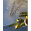 Christmas Decorative Accent