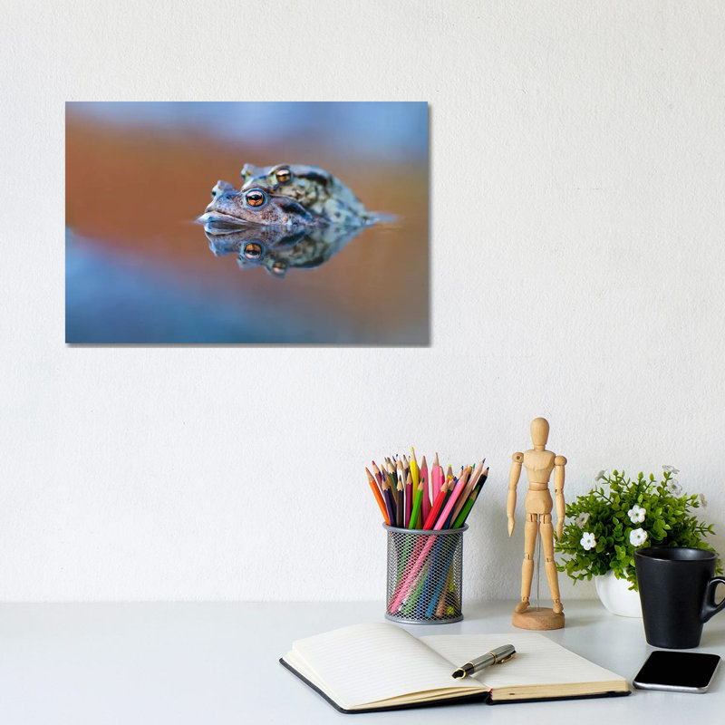 Toads' Love by Mateusz Piesiak - Wrapped Canvas Print, 20.32 cm H x 30.48 cm W