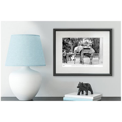 London Zoological Gardens, The Elephant 1913 by Francis Frith - Single Picture Frame Print