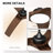 52" Outdoor Ceiling Fan with Light for Patio Garage Porch Indoor, Weather-Proof Blades & High-Airflow, Quiet DC Motor 3CCT Dimmable LED Ceiling Fan Remote for Farmhouse-732805291-732805335