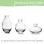 Jair Glass Table Vase-36065311