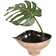 18'' Faux Philodendron Plant in Metal Pot