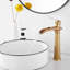 Single-handle Bathroom Faucet with Drain Assembly-70635627