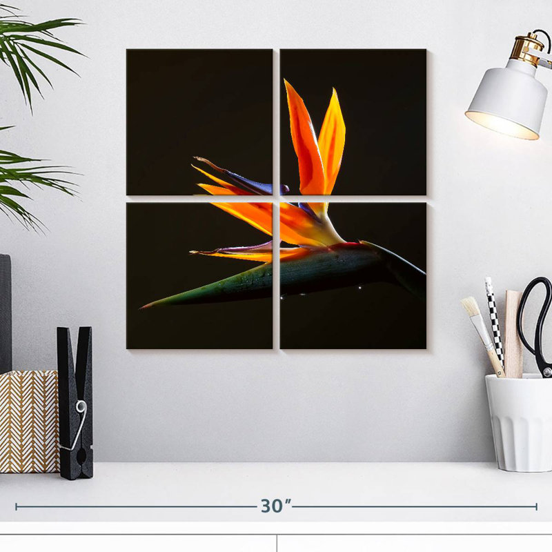 Harnek Exotic Crane Lily, 18" H x 18" W