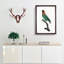 Caica Parrot by F. Levaillant - Picture Frame Painting Print-55513966-55513968