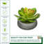 Jardinière avec succulent Echeveria artificielle-1784032527-1784039847