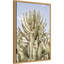 «Cactus Forest» par Marilis, reproduction d'art sur toile encadrée-687911486