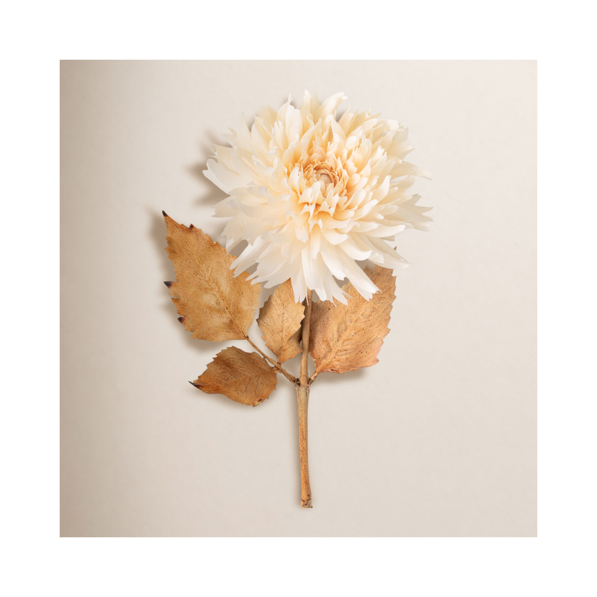 Nod To Nature 27.5" Blossoming Cream Dahlia Stem; Cream, Cream
