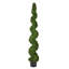Arbre en spirale de buis vert Wolfdale-20583856