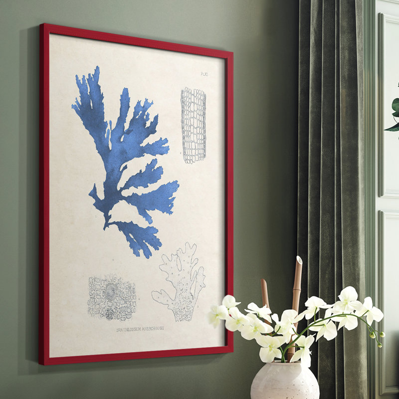 «Blue Marine Algae», reproduction encadrée en bois massif, Cadre simple rouge, H 10 po x l 8 po