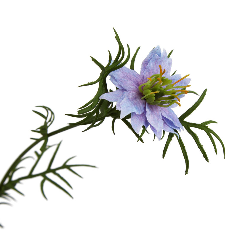 Anastasija Arrangement, Purple