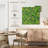 Kerner Green Ginkgo Foliage
