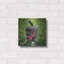 «Black Lab Pup 3» par Jonathan Ross-790380848