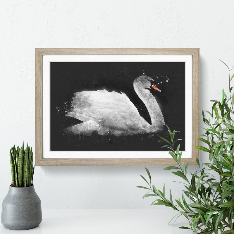 White Swan Swimming - Picture Frame Graphic Art Print, 62cm H x 87cm W x 2cm D, Oak Framed