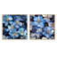 Earnhardt - Ensemble de 2 collages floraux carrés-101853175-101853178