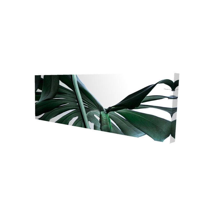 Monstera deliciosa - Élégante décoration intérieure pour chambres à coucher, H 60 po x l 20 po