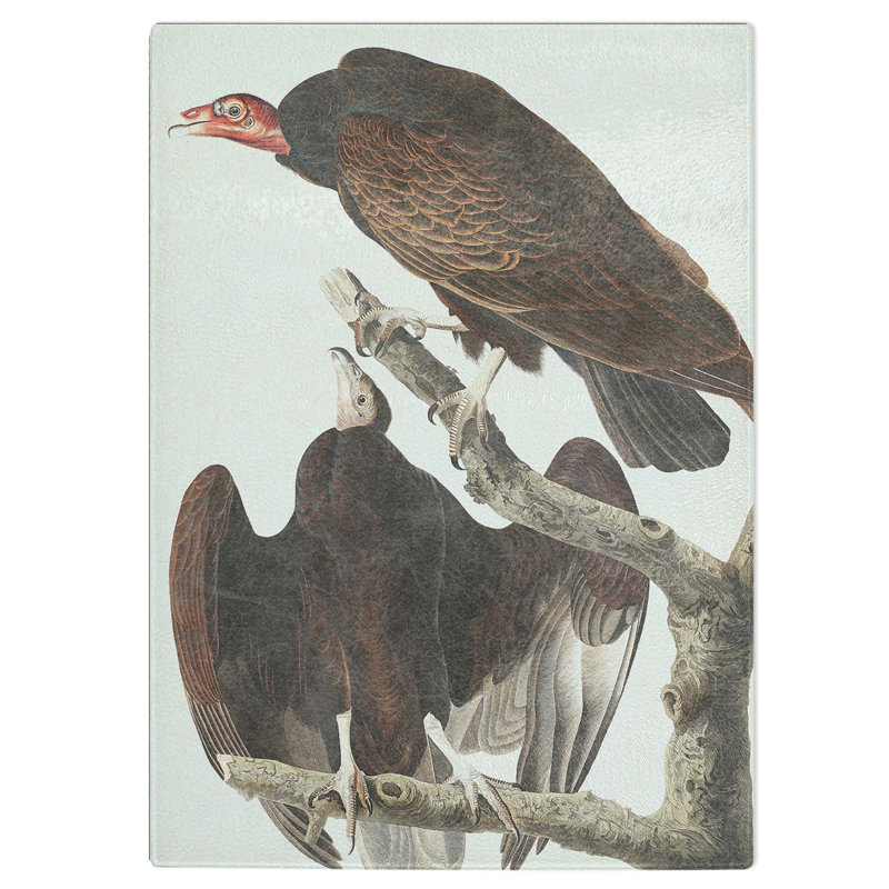 Tempered Glass Turkey Buzzard by John James Audubon Chopping Board, 20 cm W x 28.5 cm L