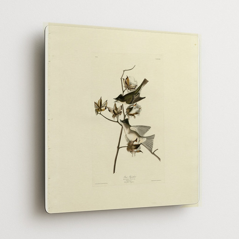 Gobemouche pélia (Planche 120) — Décoration murale carrée en métal, H 8 po x l 8 po
